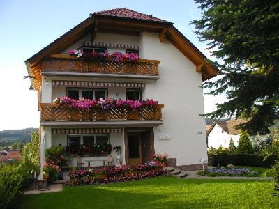 Villa Bellevue Waldkappel Buitenkant foto